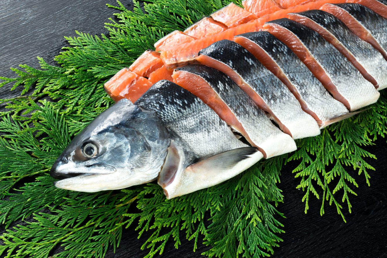 【送料込】獲れたて秋の 生鮭 【半身分切り身・いくら醤油漬加工】